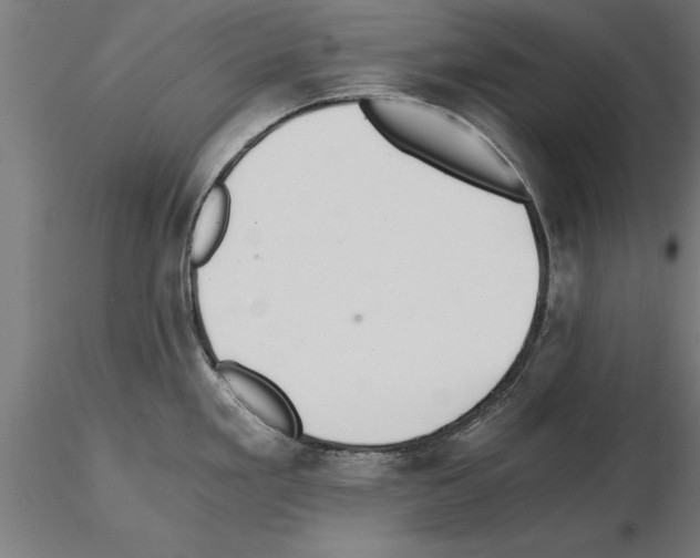 X0000115261293200912111131