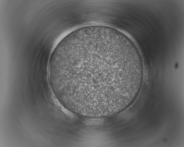 X0000115261294200912111131