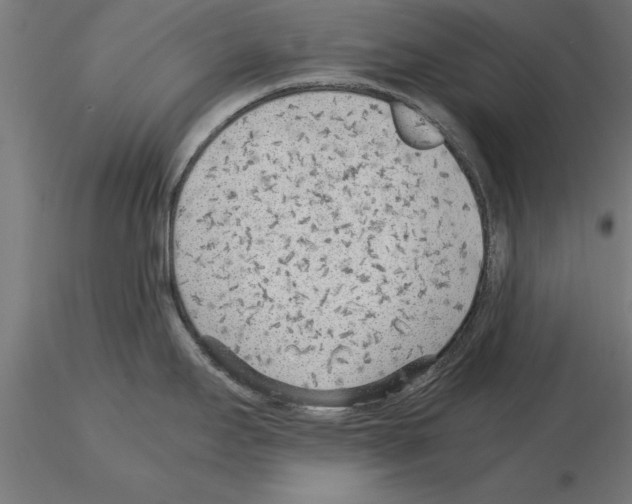 X0000115261295200912111131