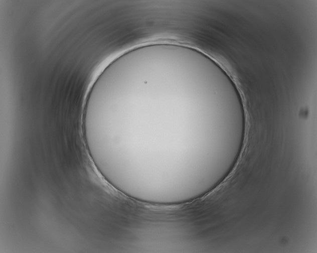 X0000115261296200912111131