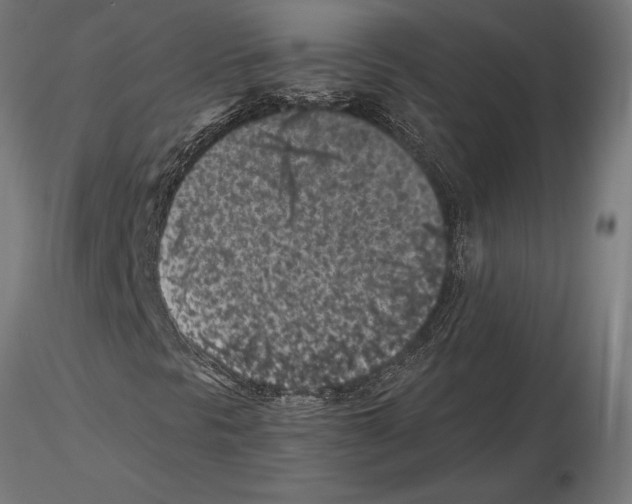 X0000115261297200912111130