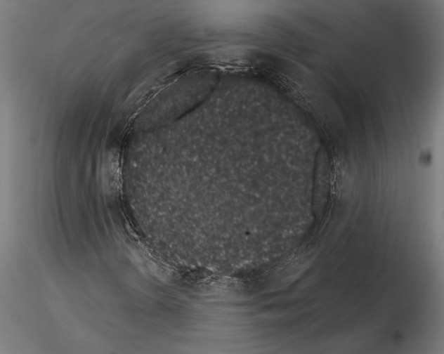 X0000115261298200912111130