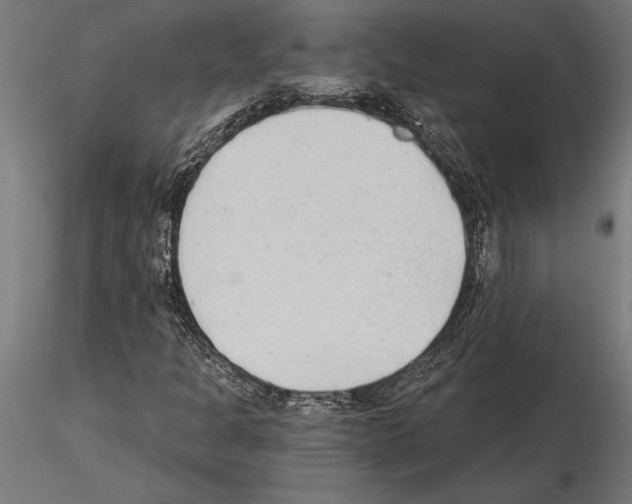 X0000115261301200912111131