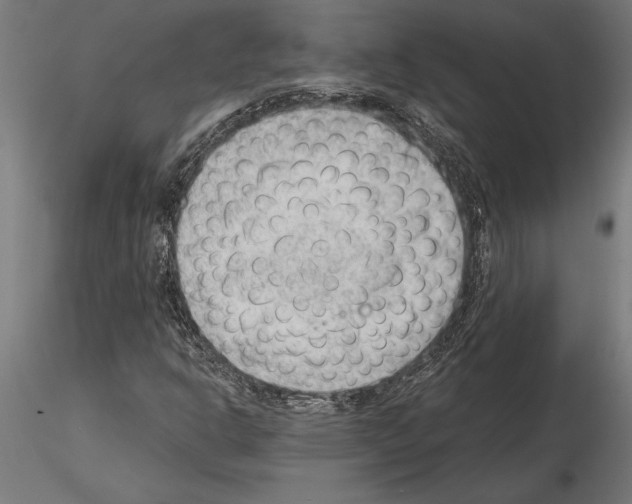 X0000115261302200912111131