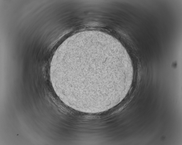 X0000115261305200912111131