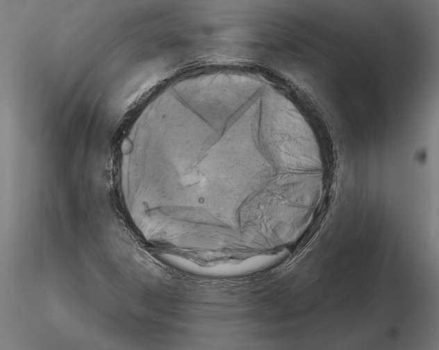 X0000115261306200912111131