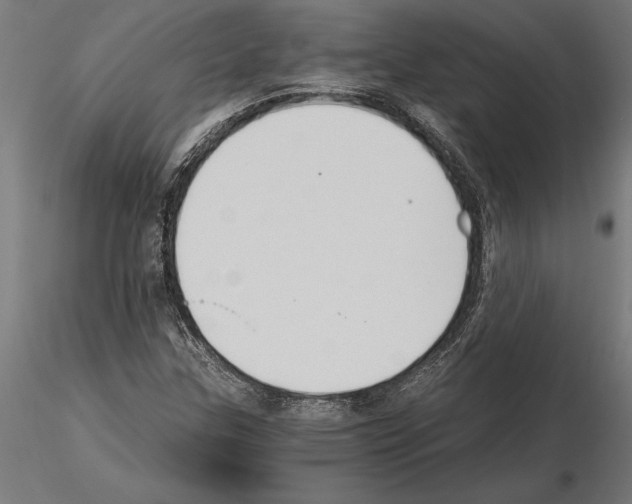 X0000115261307200912111131