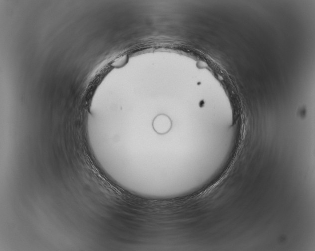 X0000115261309200912111131