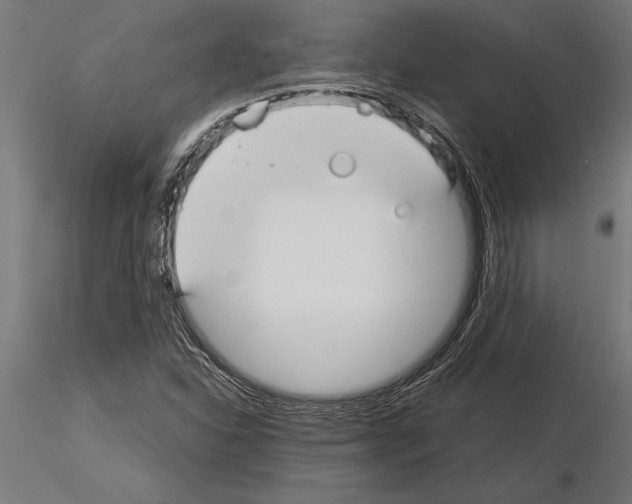 X0000115261310200912111131