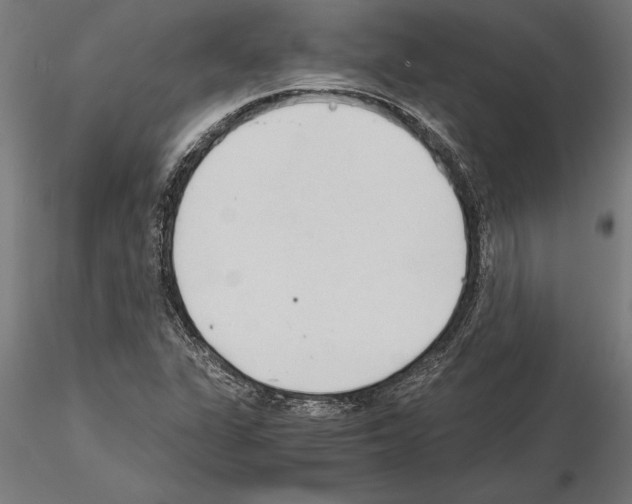 X0000115261311200912111131