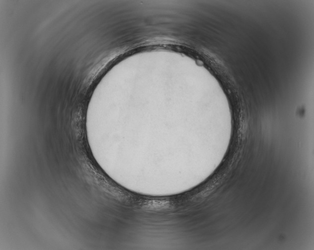 X0000115261313200912111131