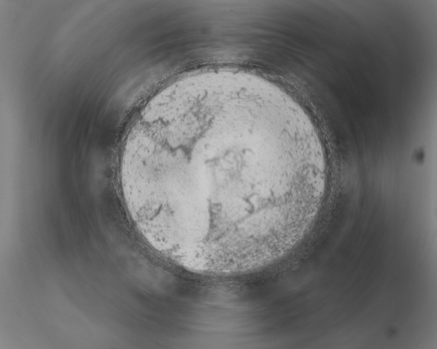 X0000115261314200912111131