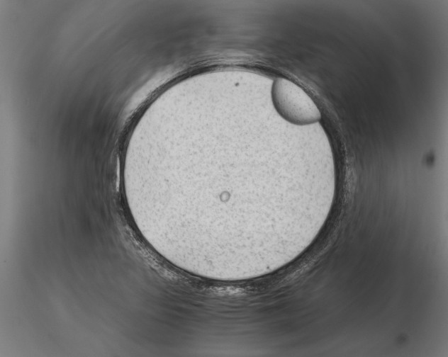 X0000115261317200912111131