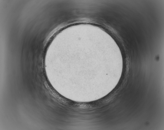 X0000115261318200912111131