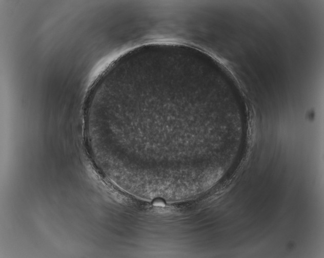 X0000115261319200912111131