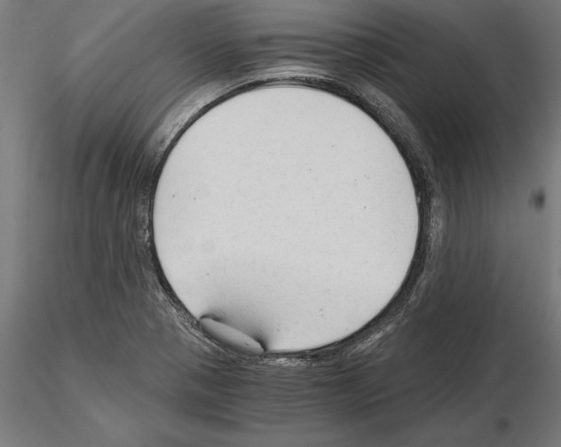 X0000115261321200912111131