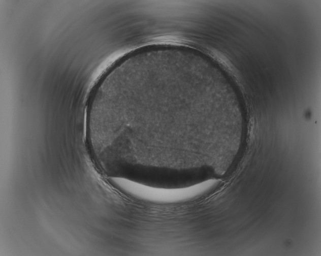 X0000115261323200912111131