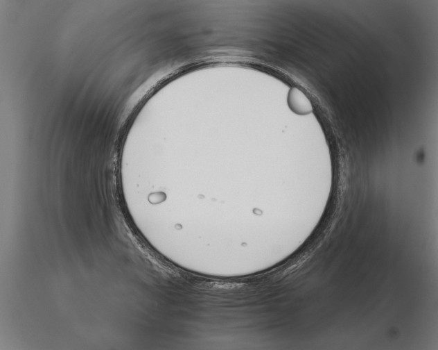 X0000115261325200912111131