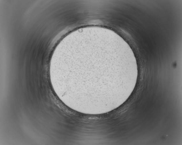 X0000115261326200912111131