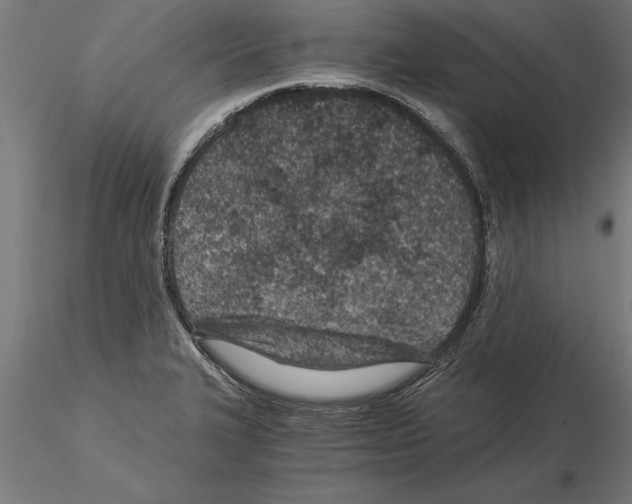 X0000115261327200912111131