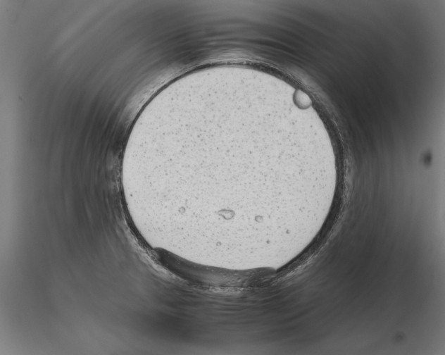 X0000115261329200912111131