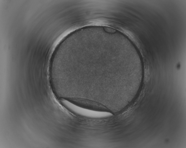 X0000115261331200912111131