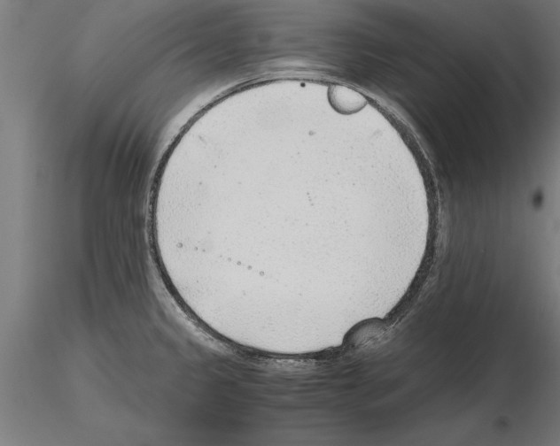 X0000115261333200912111131