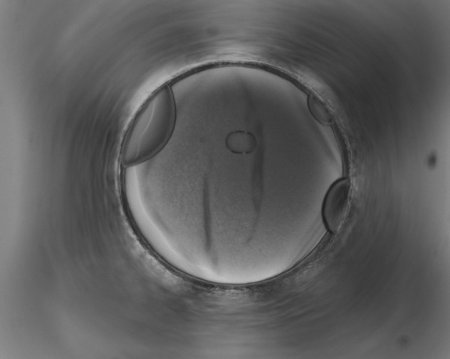 X0000115261334200912111131