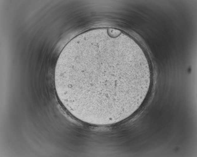 X0000115261337200912111131