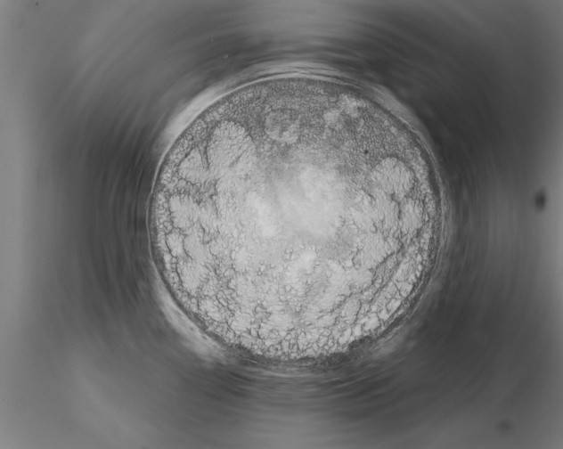 X0000115261338200912111131