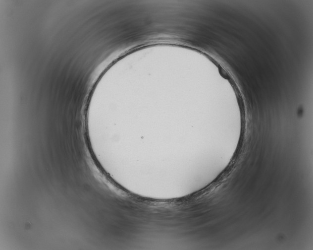 X0000115261341200912111131