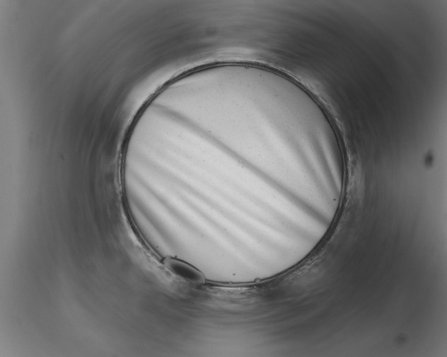 X0000115261342200912111131