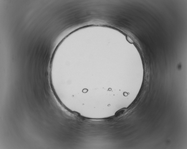 X0000115261343200912111131