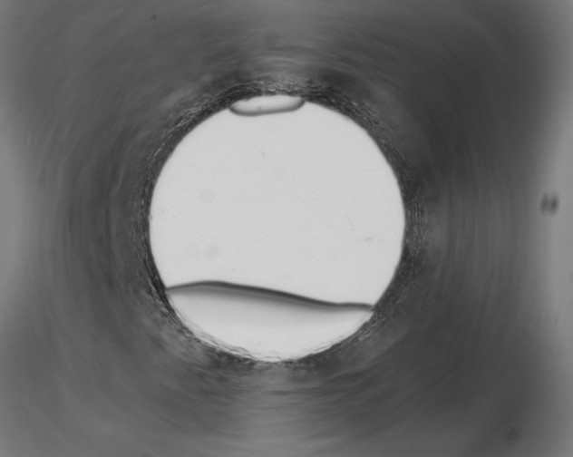 X0000115261345200912111130