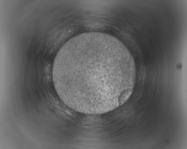 X0000115261346200912111130