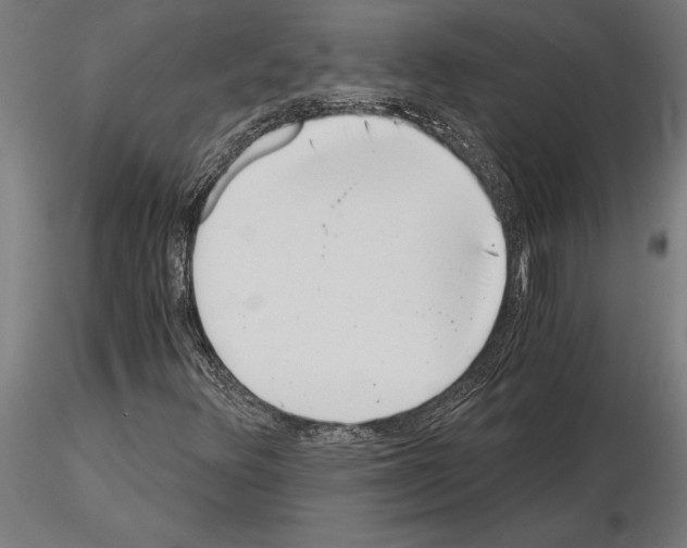 X0000115261348200912111130