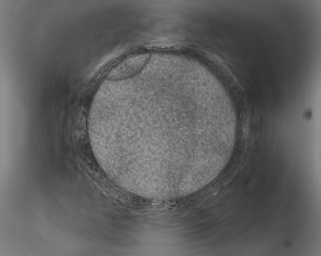 X0000115261350200912111130