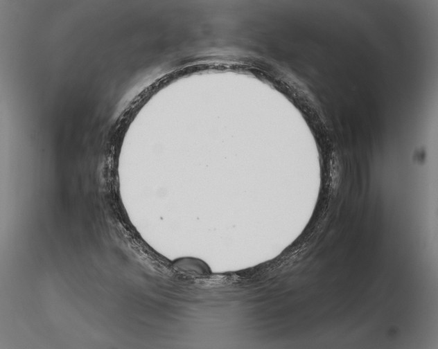 X0000115261352200912111130