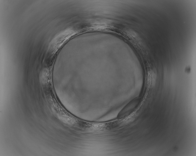 X0000115261353200912111130