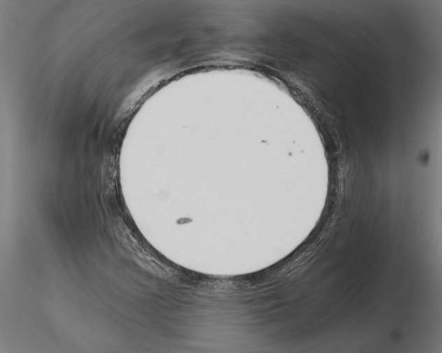 X0000115261355200912111130