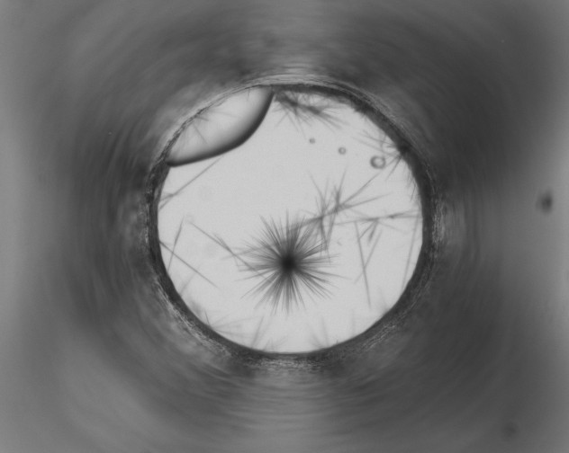 X0000115261356200912111130