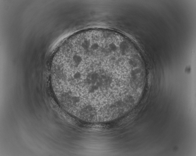 X0000115261359200912111130