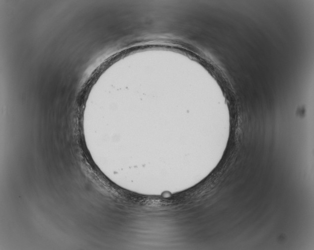 X0000115261360200912111130