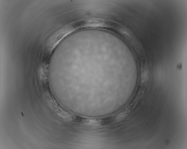 X0000115261361200912111130