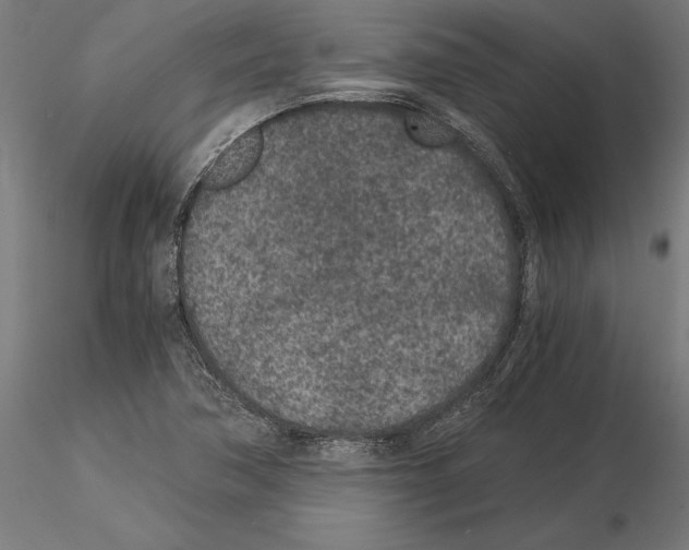 X0000115261362200912111130