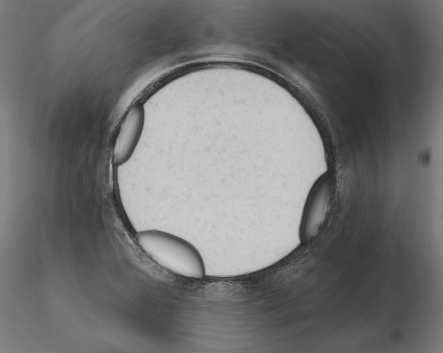 X0000115261368200912111130