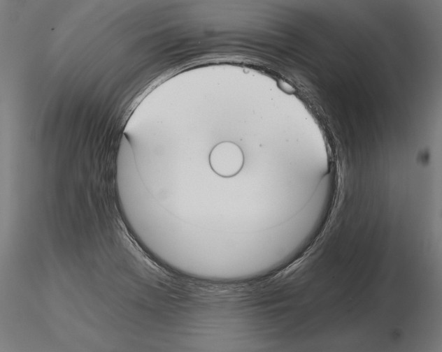 X0000115261369200912111130