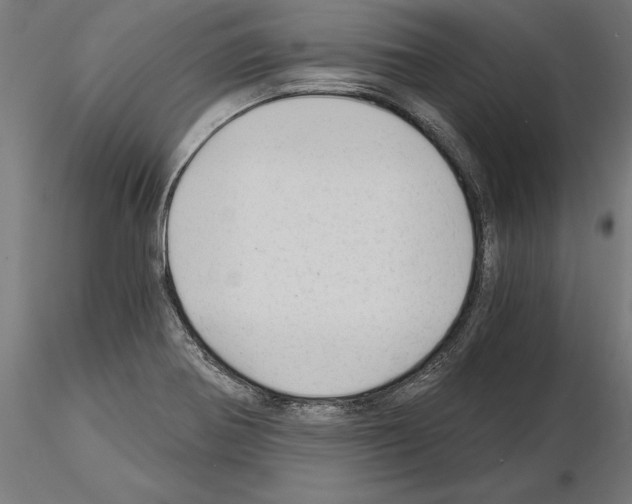 X0000115261370200912111130