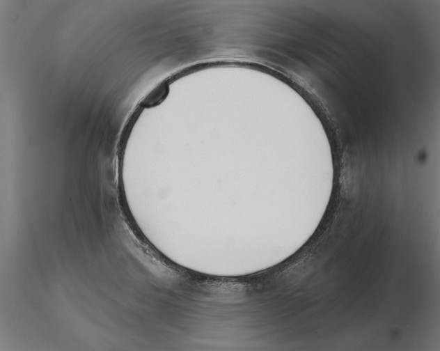 X0000115261372200912111130