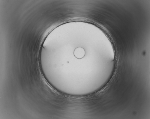 X0000115261373200912111130